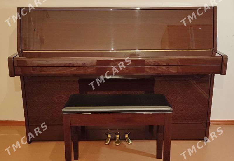 Yamaha we akkord pianino пиани - Aşgabat - img 4