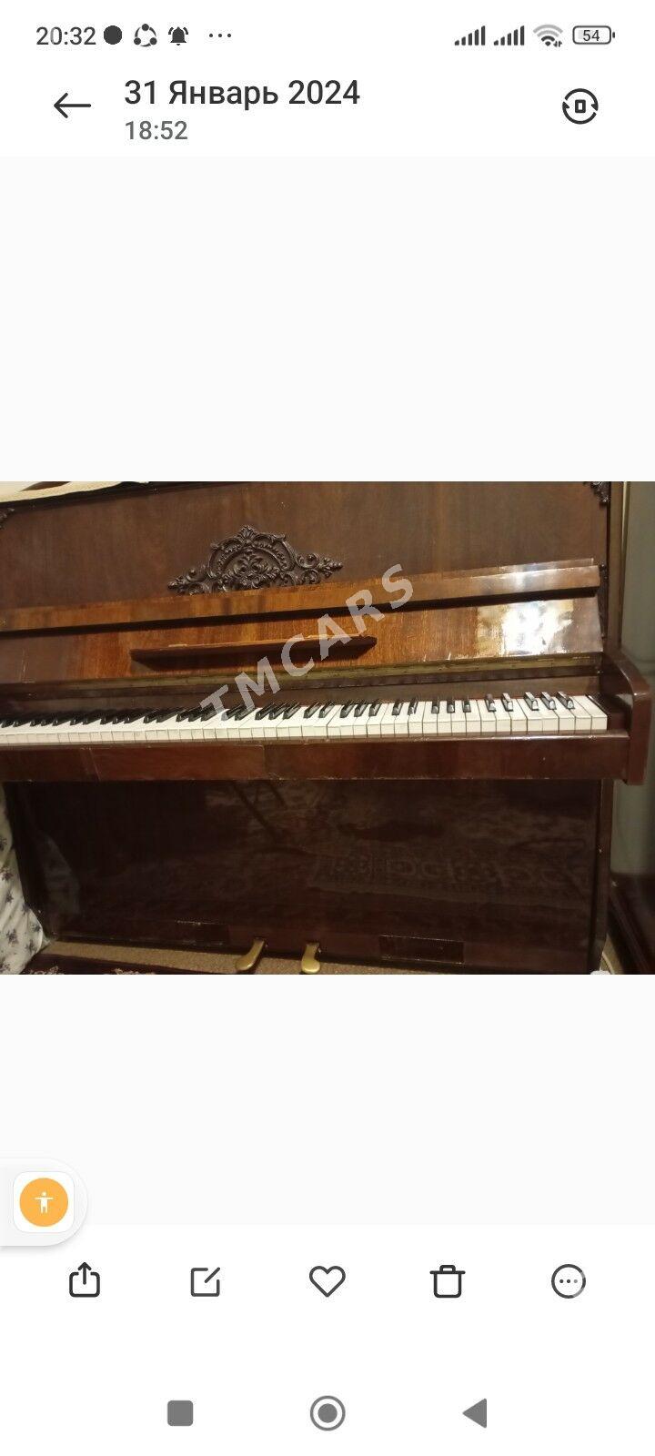 Yamaha we akkord pianino пиани - Ашхабад - img 10