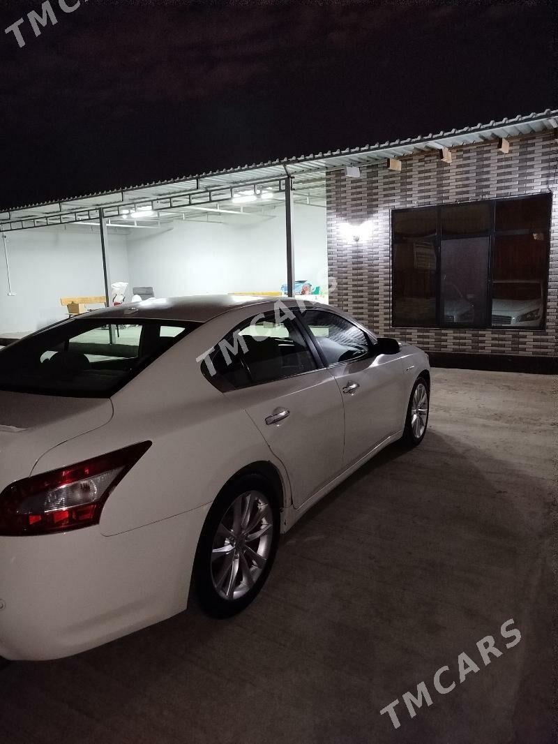 Nissan Maxima 2011 - 145 000 TMT - ул. Подвойского (Битарап Туркменистан шаёлы) - img 2