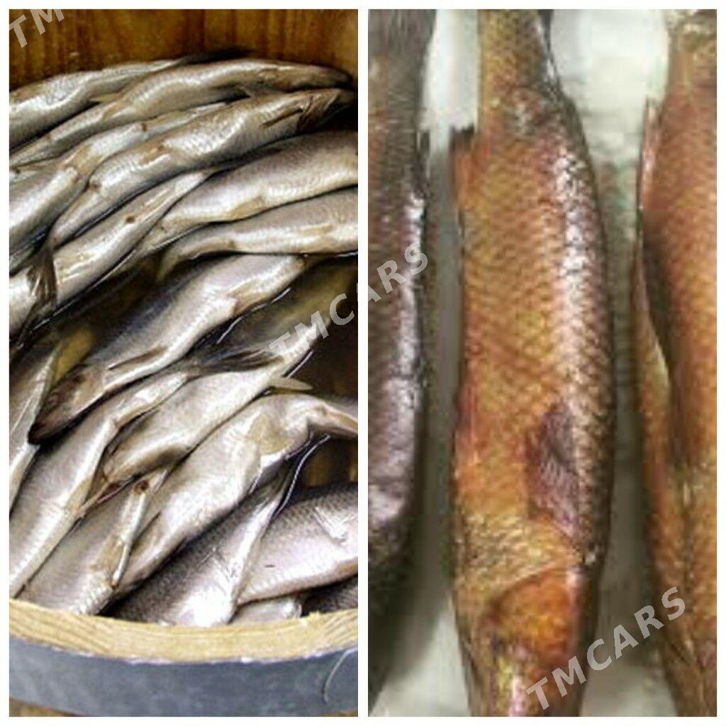 Raki balyk морепродукт рыбырак - Ашхабад - img 10