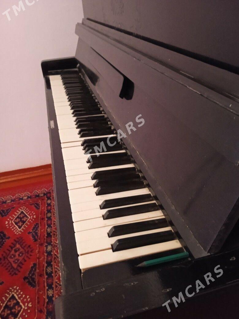 pianino - Halaç - img 2