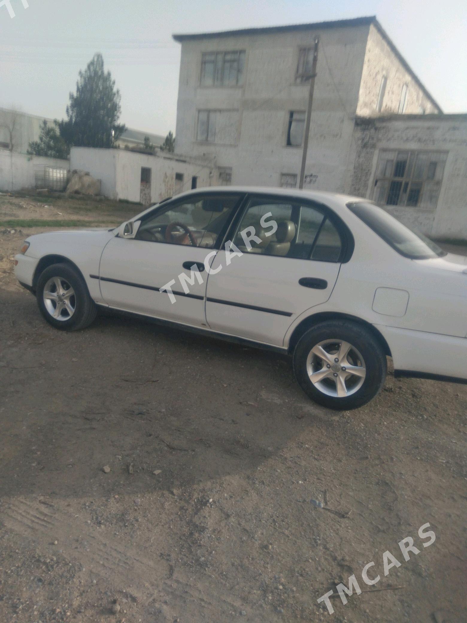 Toyota Corolla 1997 - 50 000 TMT - Ýaşlyk - img 2