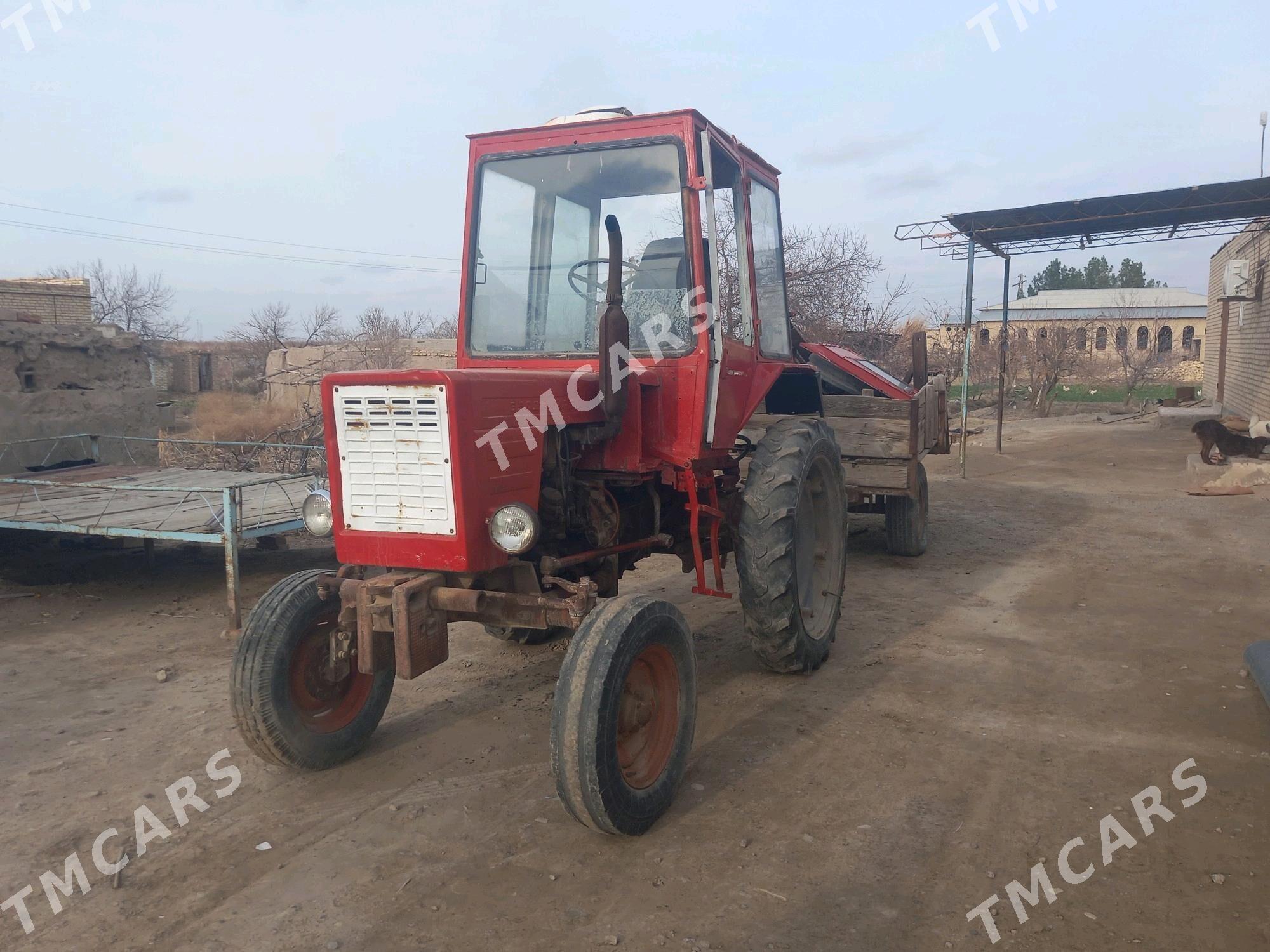 MTZ T-28 1983 - 35 000 TMT - Seýdi - img 3