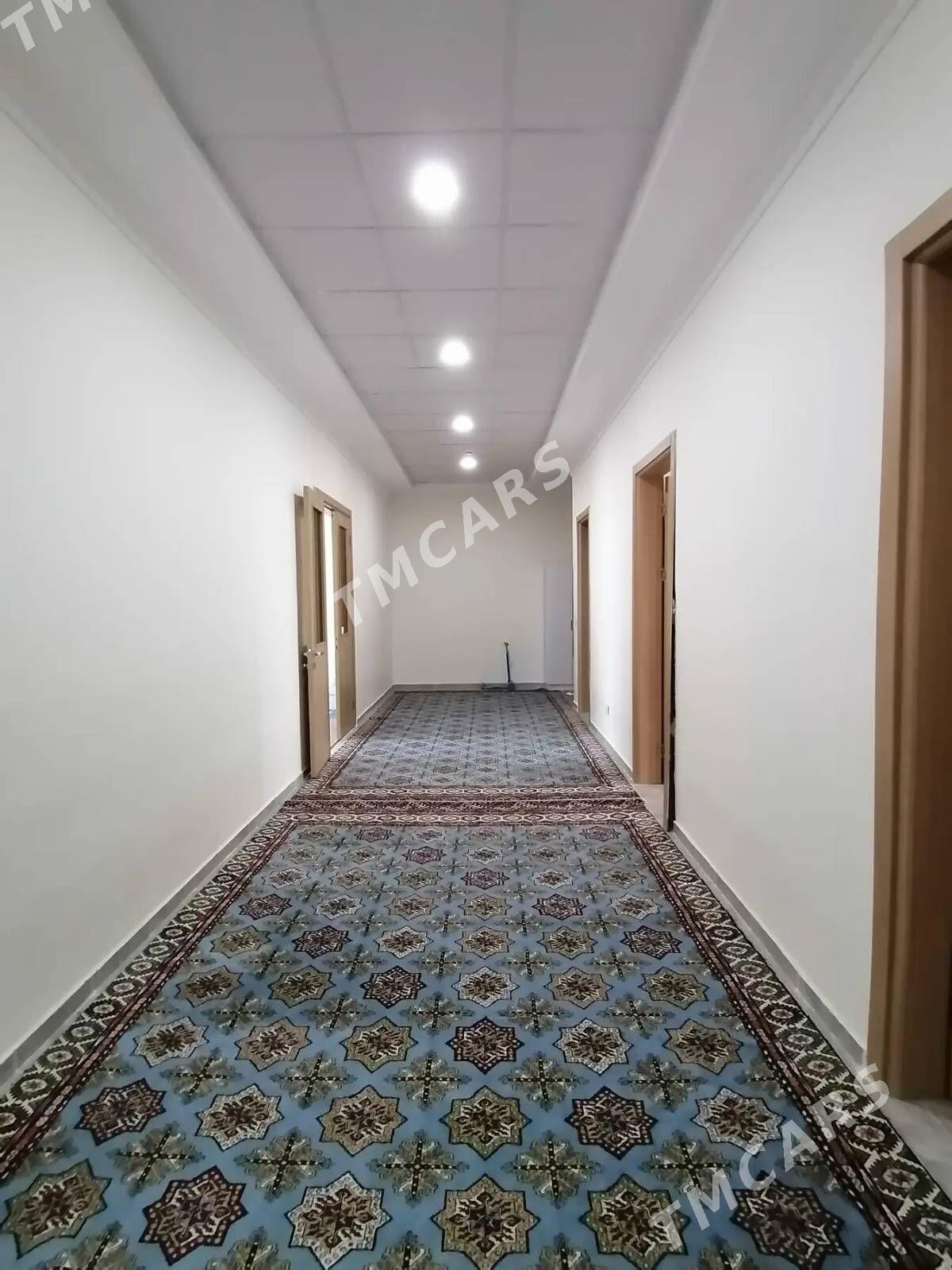 16 tapgyr 3kom elitka 16 этап - Aşgabat - img 6