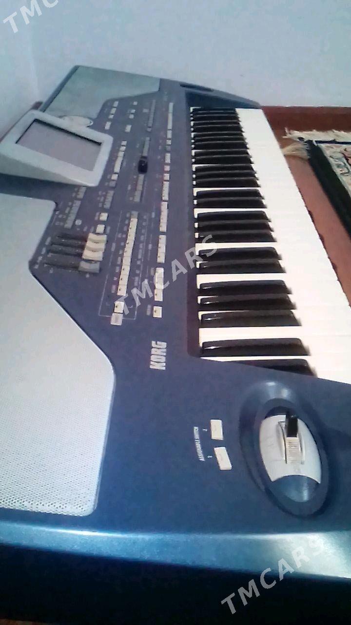 korg pa800 - Bereket - img 2