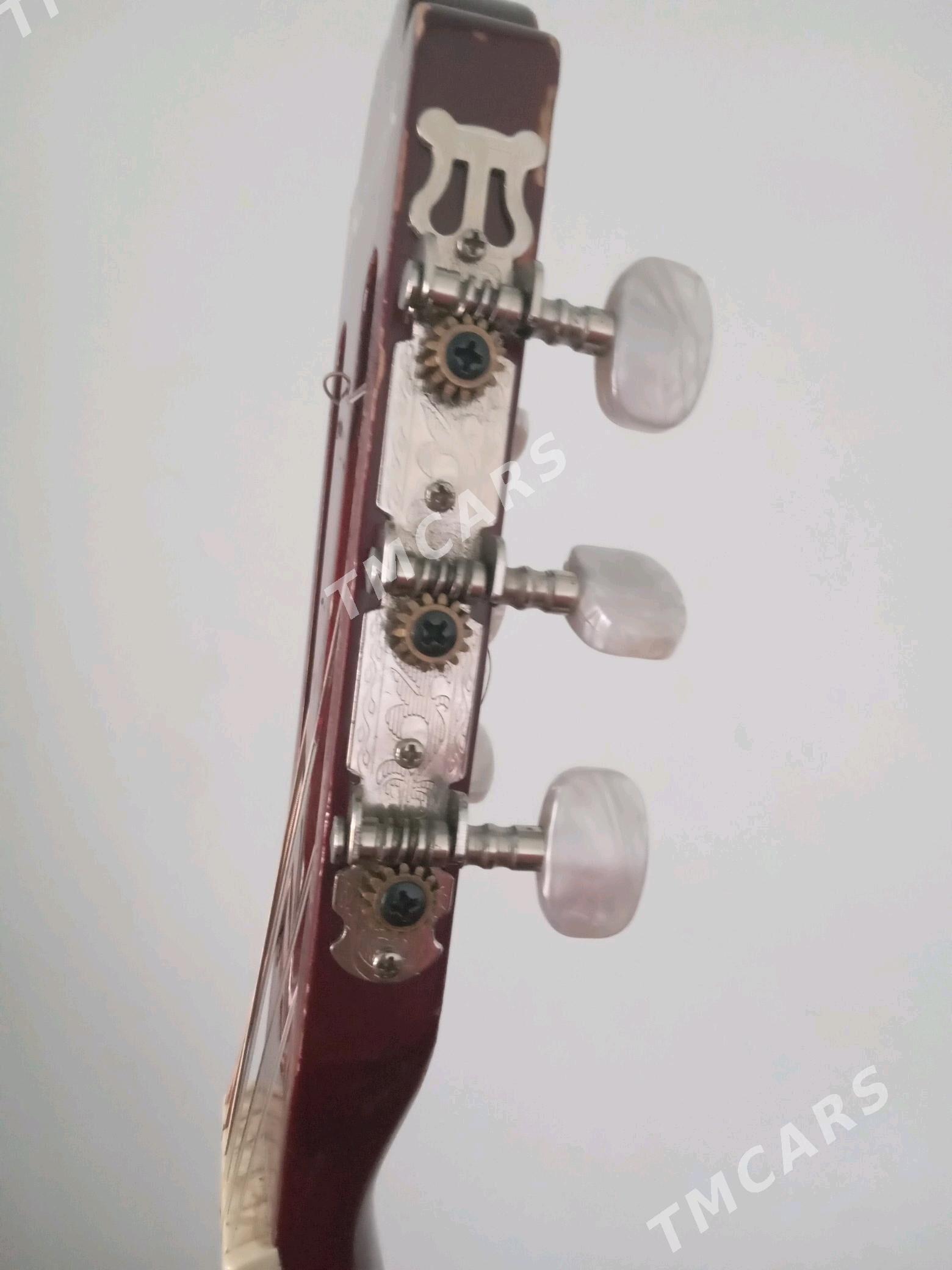 Gitara - Türkmengala - img 4