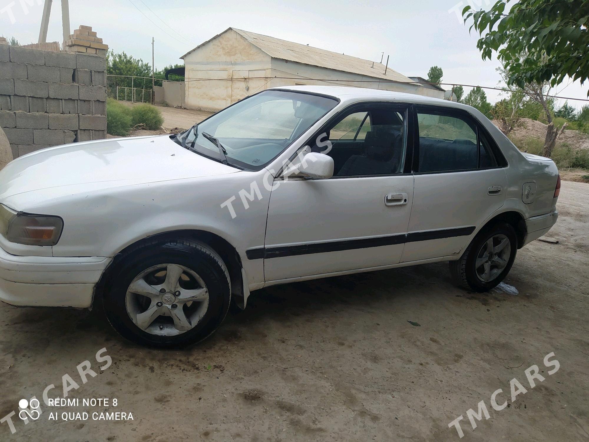 Toyota Corolla 1995 - 50 000 TMT - Daşoguz - img 3