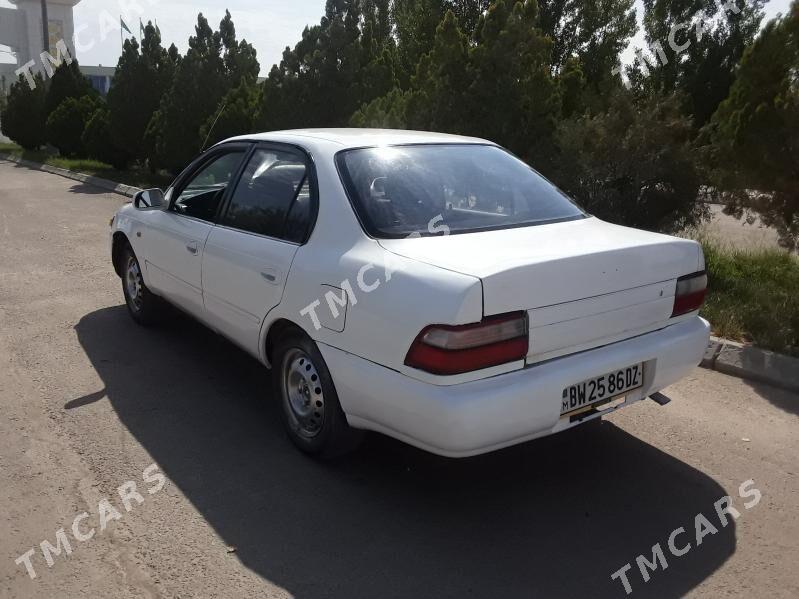 Toyota Corolla 1994 - 30 000 TMT - Daşoguz - img 3