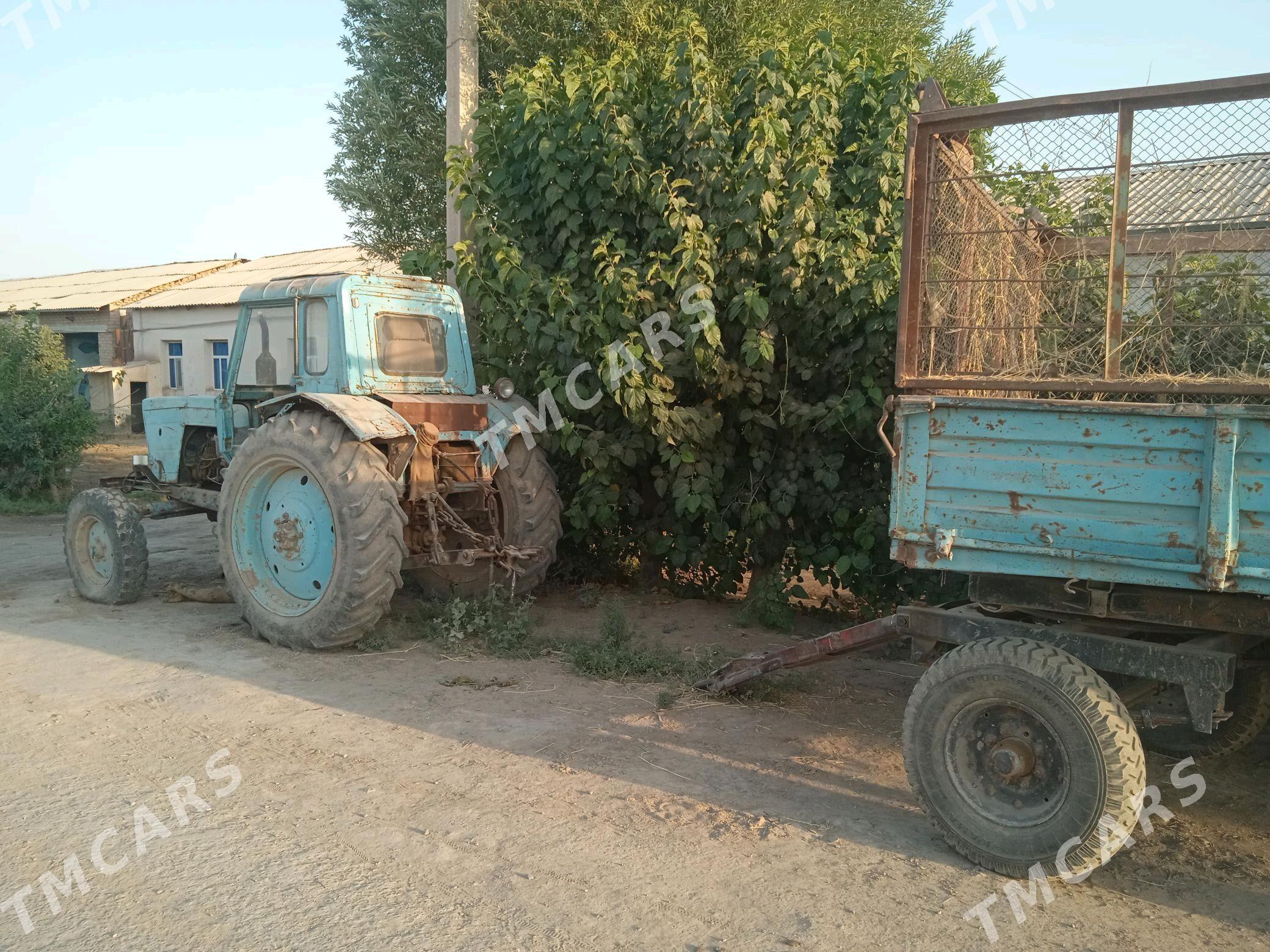 MTZ 80 1987 - 90 000 TMT - Halaç - img 7