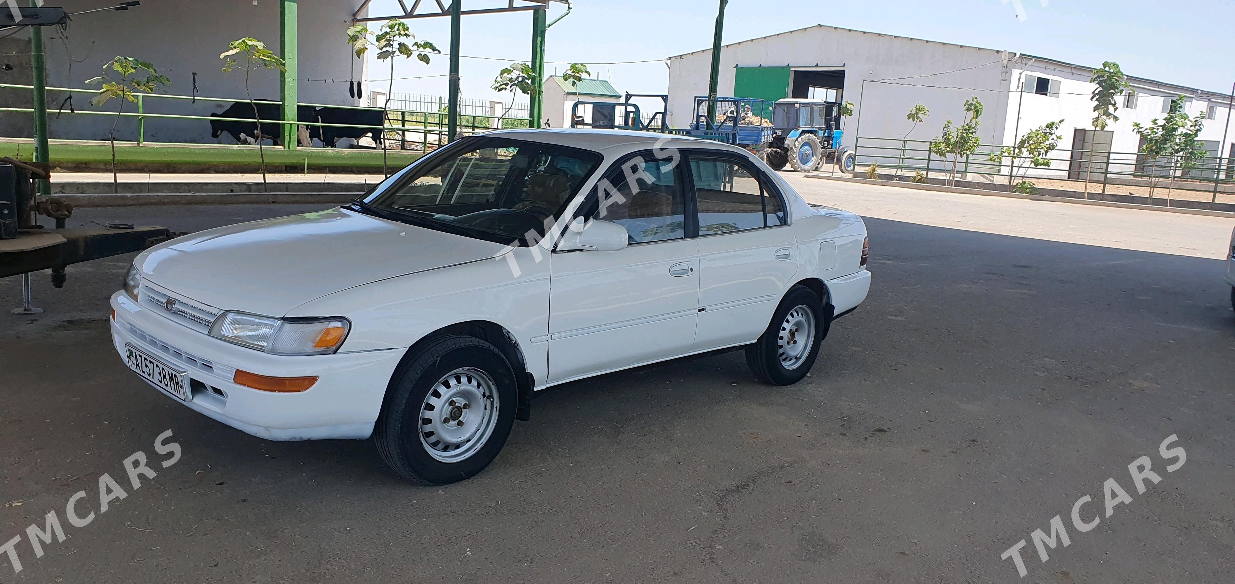 Toyota Corolla 1995 - 39 000 TMT - Мары - img 2