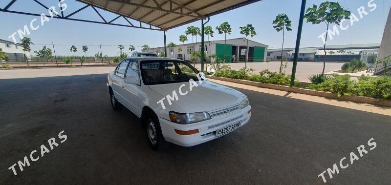 Toyota Corolla 1995 - 39 000 TMT - Mary - img 5