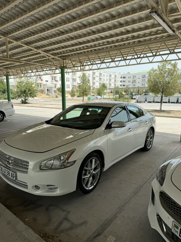 Nissan Maxima 2010 - 115 000 TMT - Ашхабад - img 5