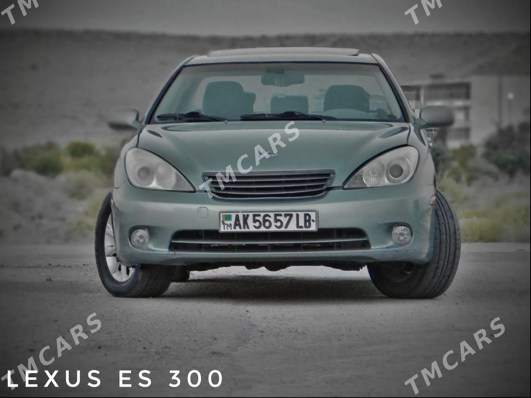 Lexus ES 300 2002 - 160 000 TMT - Сейди - img 2