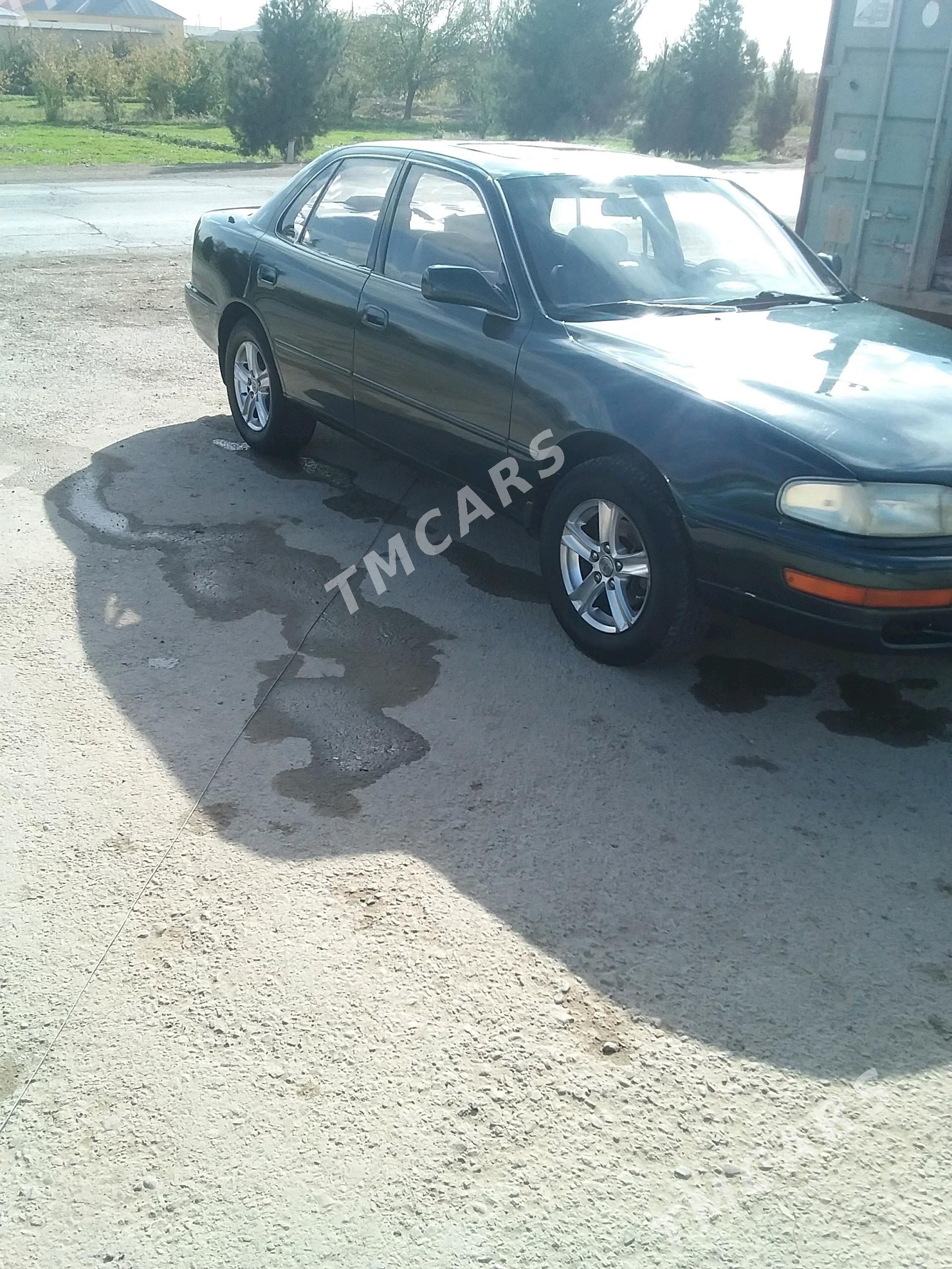 Toyota Camry 1994 - 69 000 TMT - Sakarçäge - img 2