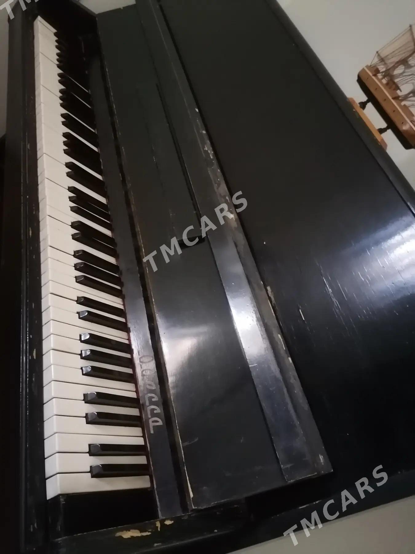 pianino - Balkanabat - img 2