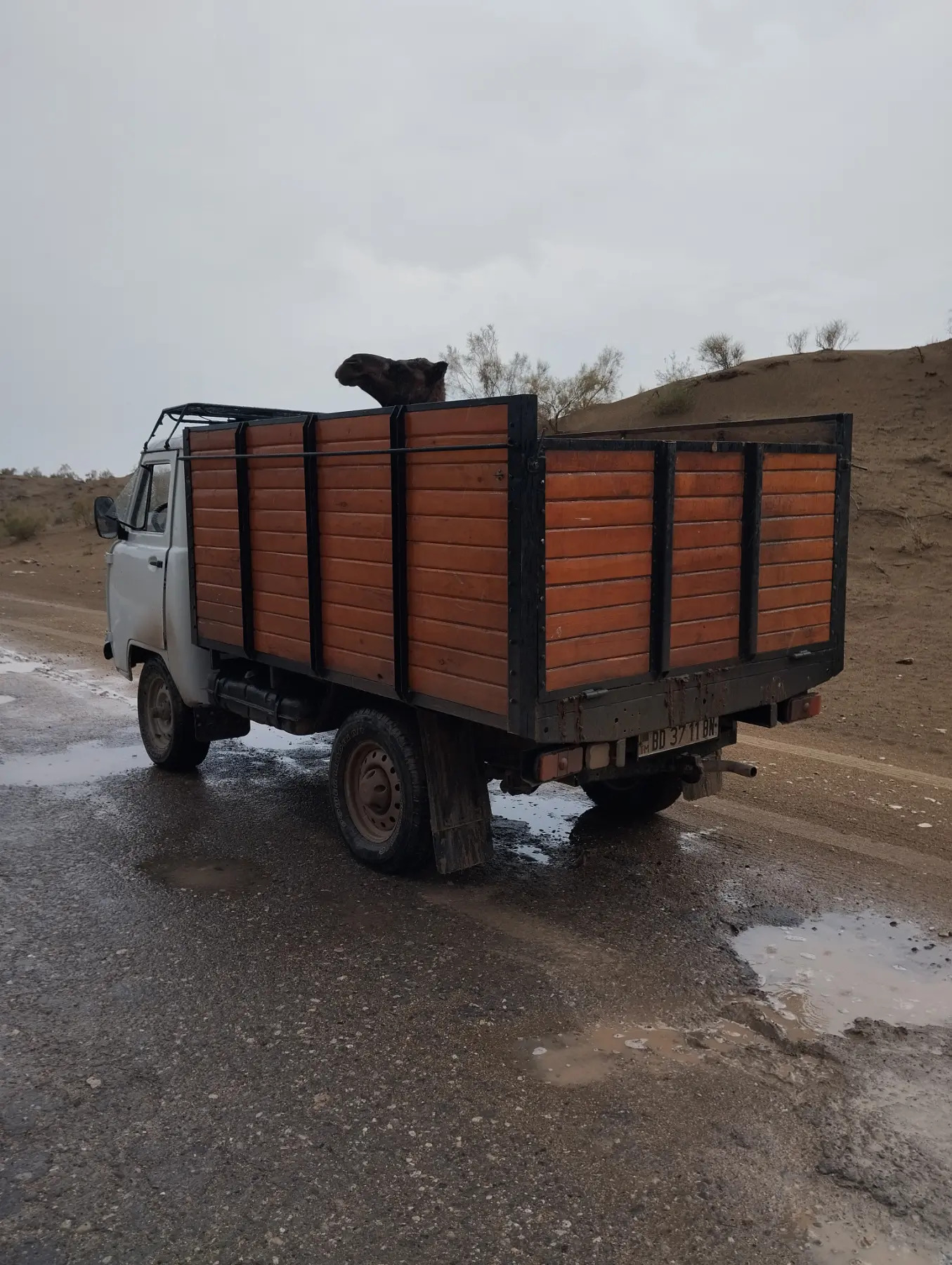 UAZ 452 1999 - 75 000 TMT - Гызыларбат - img 3