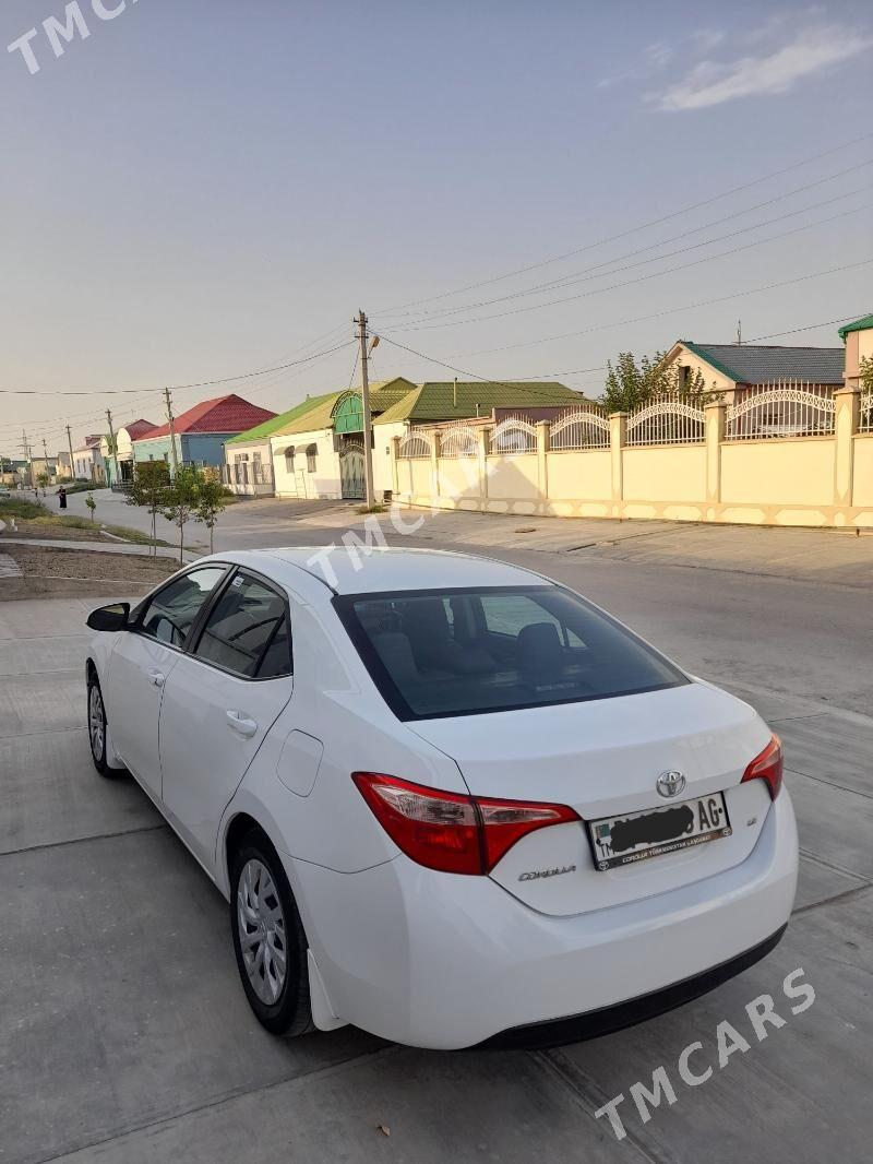 Toyota Corolla 2019 - 165 000 TMT - Aşgabat - img 2