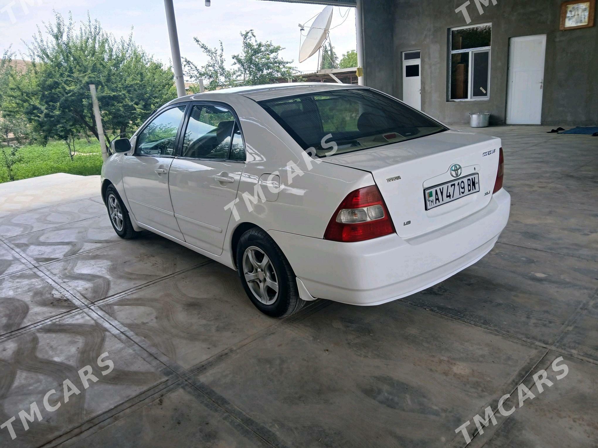 Toyota Corolla 2002 - 80 000 TMT - Magtymguly - img 2