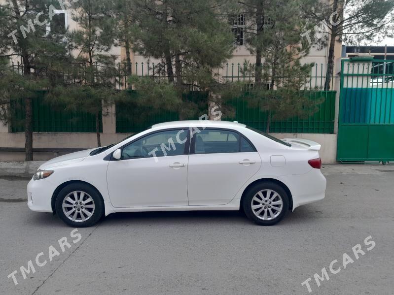 Toyota Corolla 2010 - 125 000 TMT - Гуртли - img 2