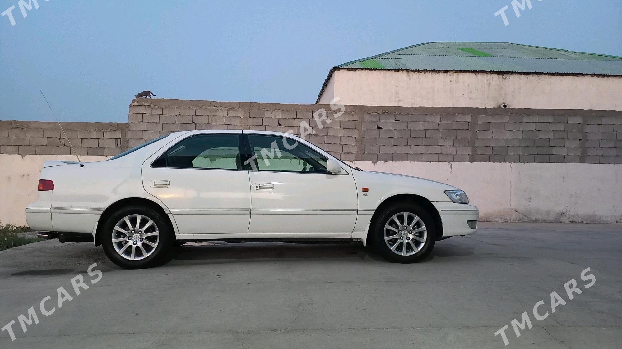 Toyota Camry 2000 - 112 000 TMT - Ак-Бугдайский этрап - img 6