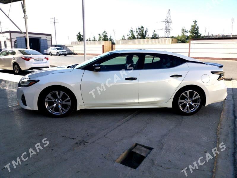 Nissan Maxima 2019 - 325 000 TMT - Türkmenabat - img 2