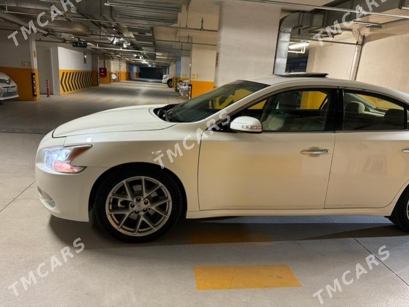 Nissan Maxima 2011 - 139 000 TMT - Ашхабад - img 7