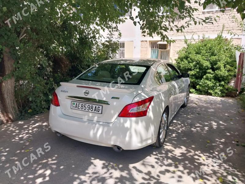 Nissan Maxima 2010 - 145 000 TMT - Aşgabat - img 3