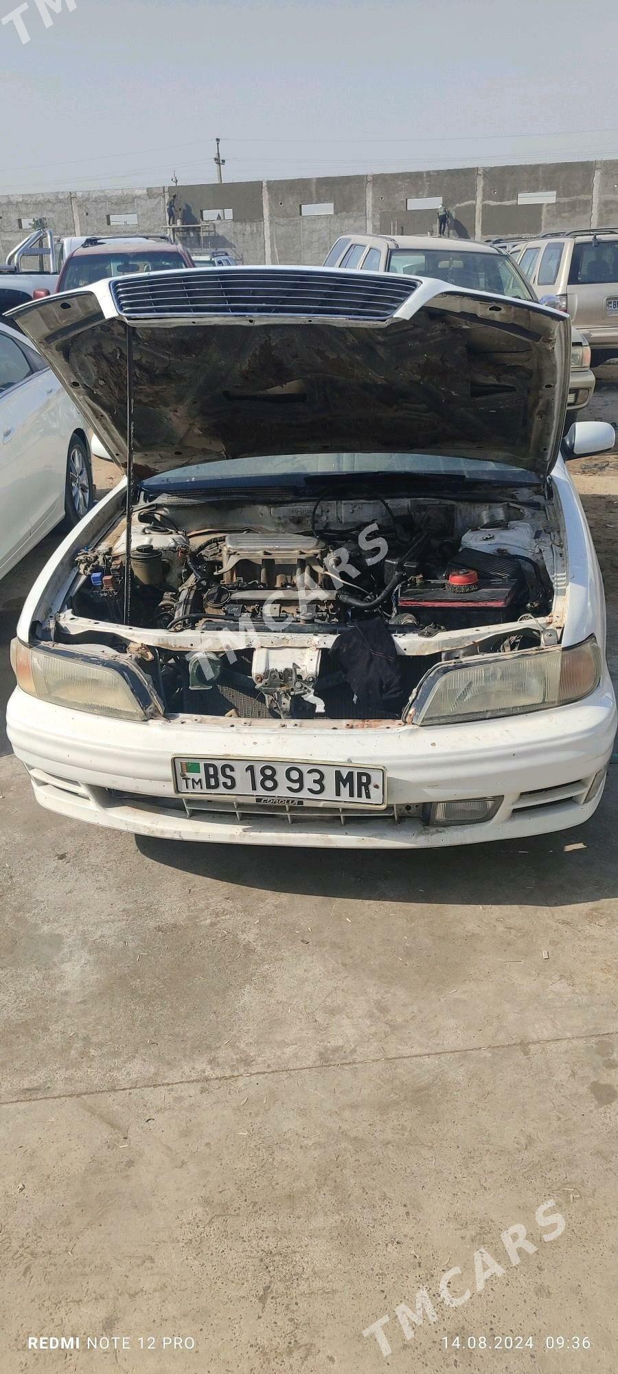 Nissan Cefiro 1994 - 13 000 TMT - Мары - img 2