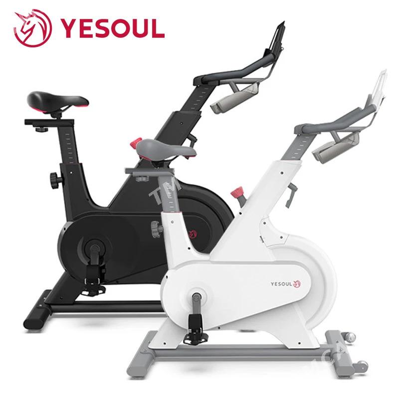 Xiaomi Yesoul Bike M1 - Ашхабад - img 8