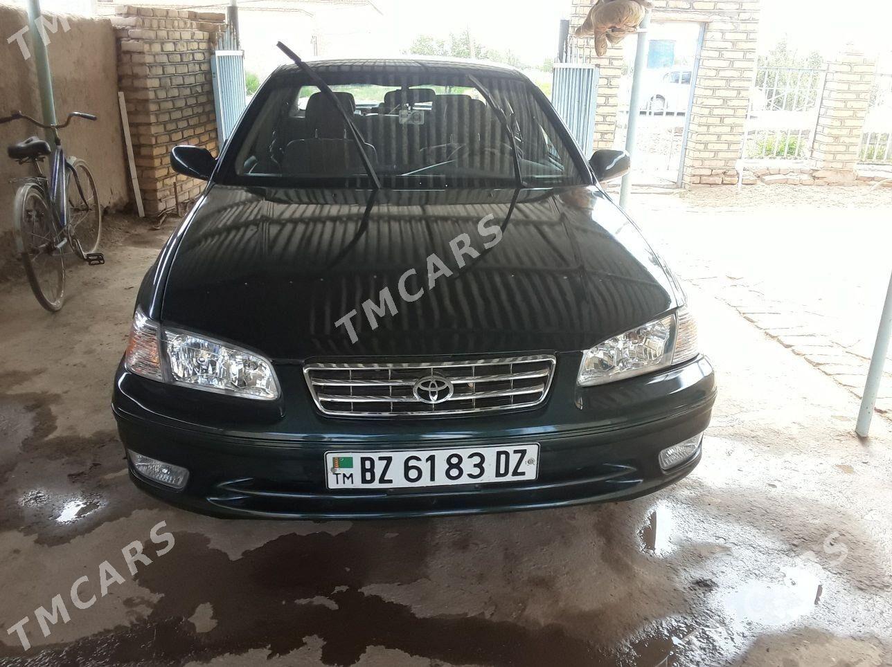 Toyota Camry 2001 - 125 000 TMT - Гороглы (Тагта) - img 2