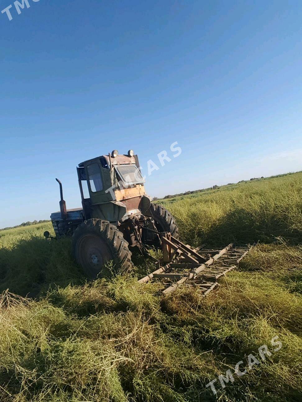 MTZ T-28 1986 - 30 000 TMT - Wekilbazar - img 6