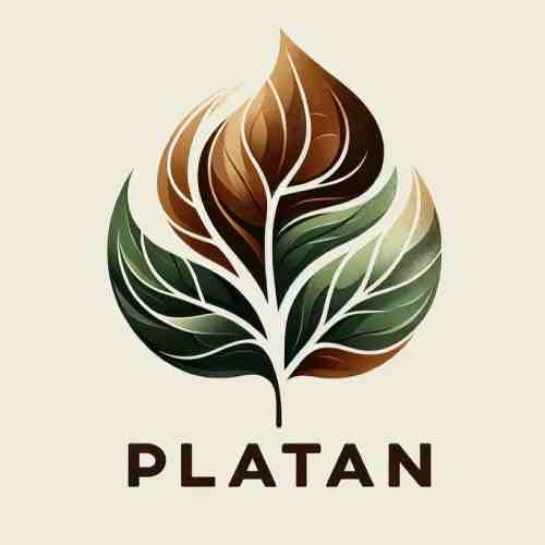 Platan