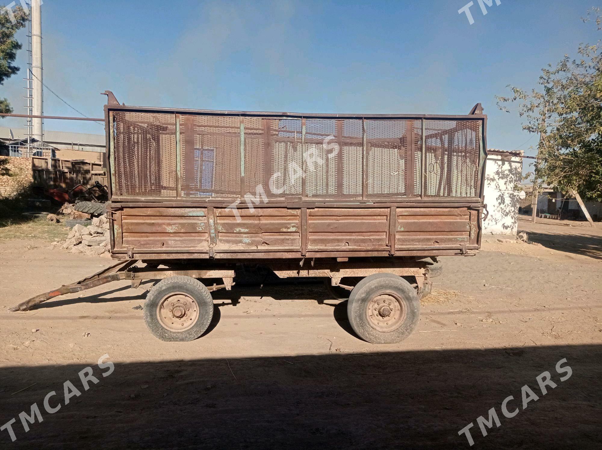 MTZ 82 1994 - 10 008 TMT - Baýramaly - img 2