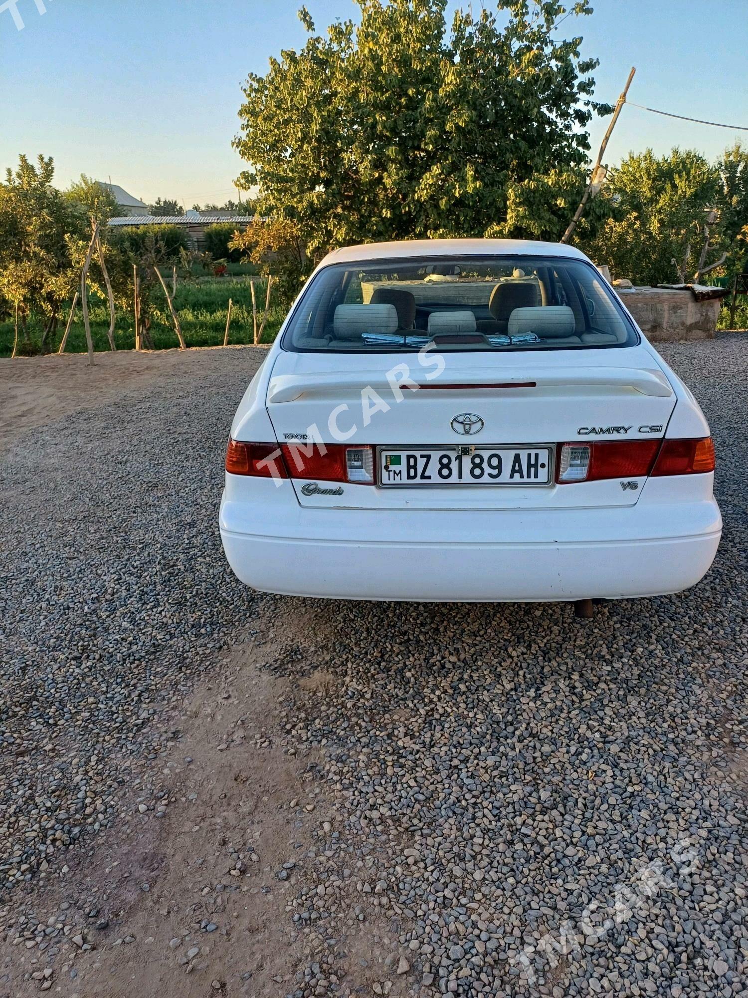 Toyota Camry 2000 - 112 000 TMT - Бабадайхан - img 3