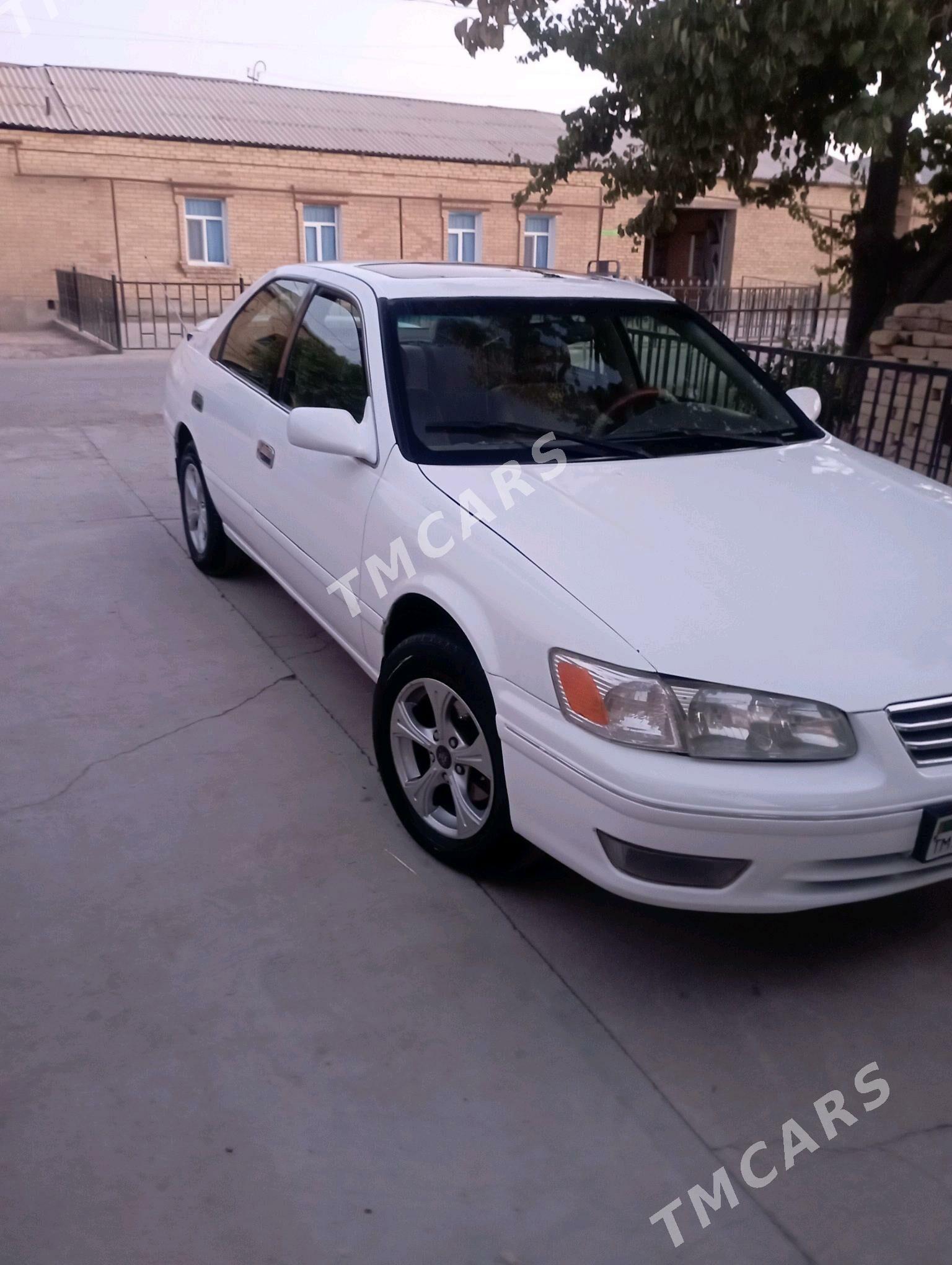 Toyota Camry 1999 - 103 000 TMT - Garabekewül - img 4