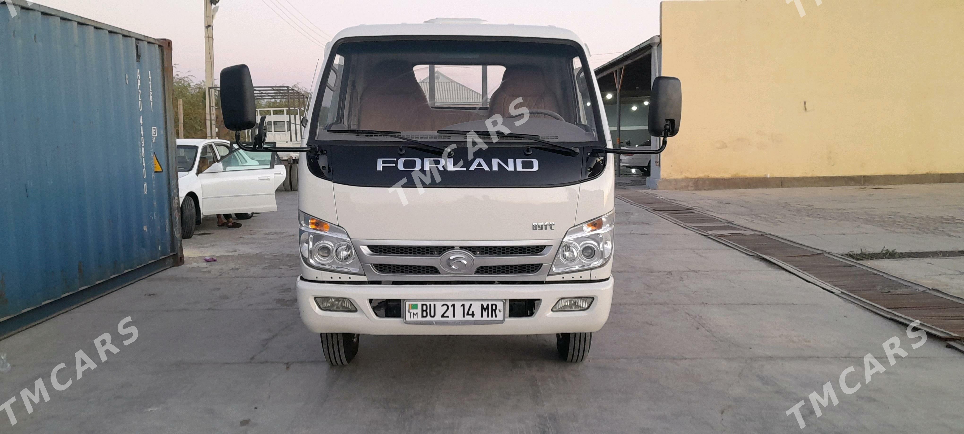 Forland H3 2014 - 128 000 TMT - Mary - img 2