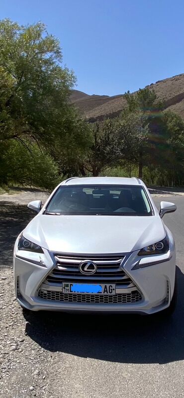 Lexus NX 200t 2015 - 360 000 TMT - Aşgabat - img 5