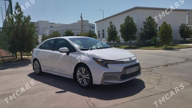 Toyota Corolla 2020 - 235 000 TMT - Мары - img 6