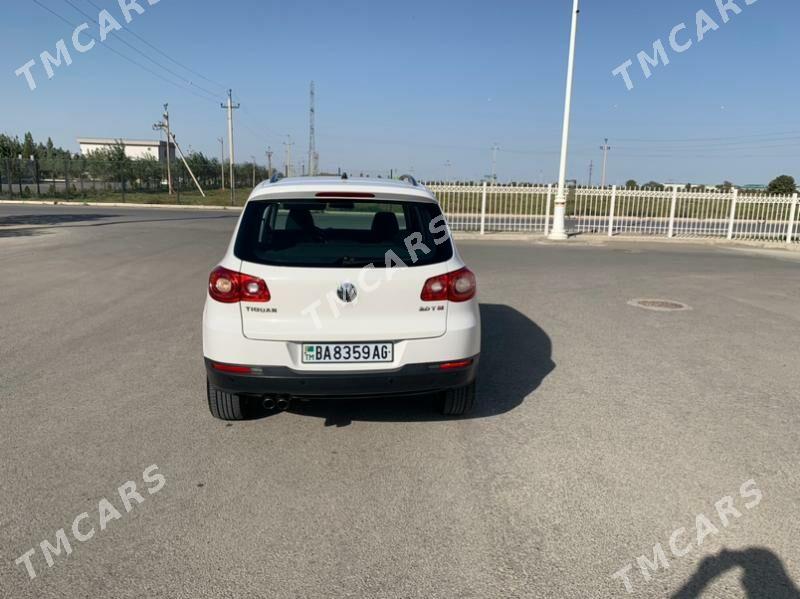 Volkswagen Tiguan 2010 - 175 000 TMT - Ашхабад - img 2