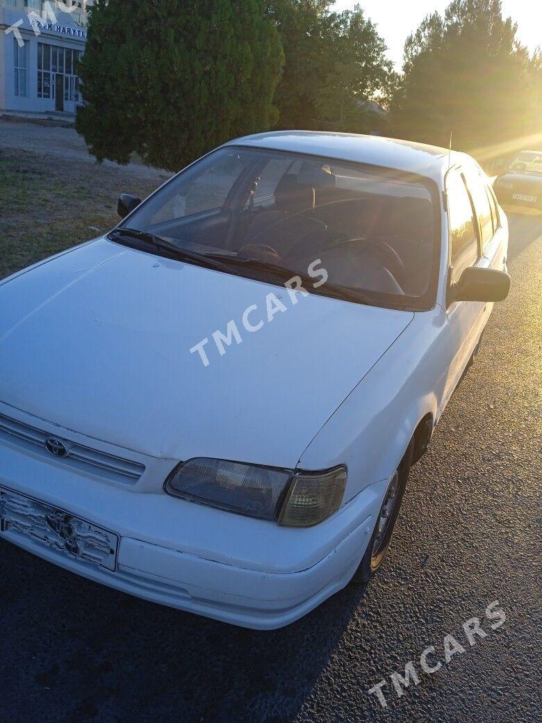 Toyota Tercel 1996 - 35 000 TMT - Türkmenabat - img 5