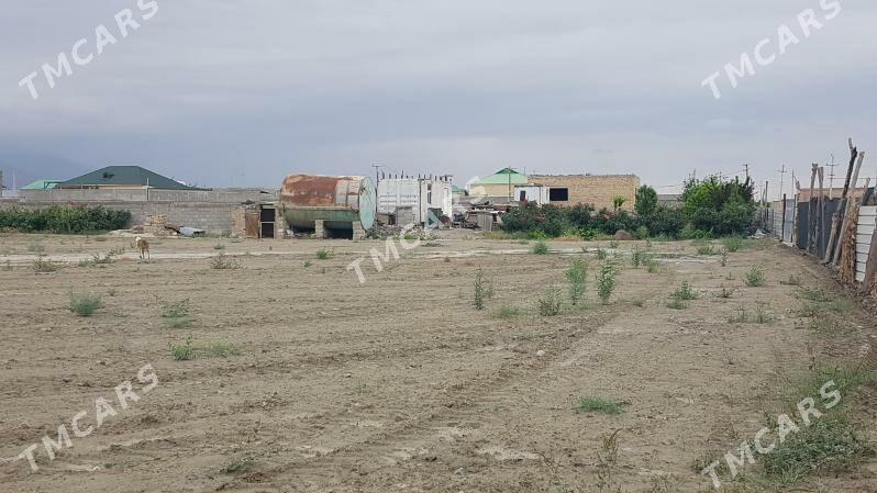 baherden dowgala satlyk jay - Бахарден - img 4