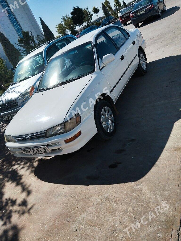 Toyota Corolla 1996 - 50 000 TMT - Туркменабат - img 2