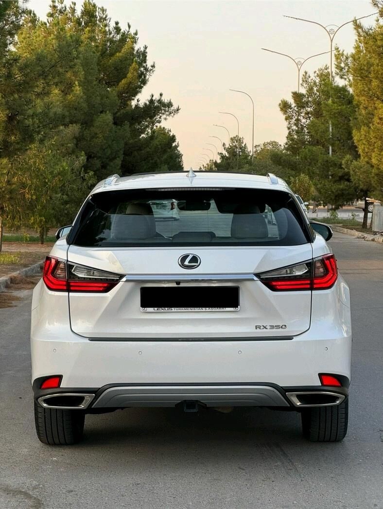 Lexus RX 350 2020 - 550 000 TMT - Aşgabat - img 4