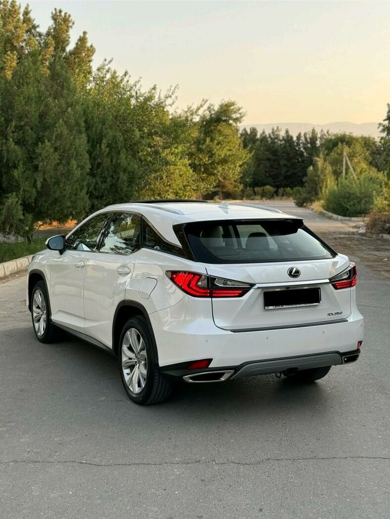 Lexus RX 350 2020 - 550 000 TMT - Aşgabat - img 3