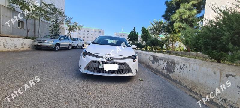 Toyota Corolla 2019 - 195 000 TMT - Gurtly - img 2