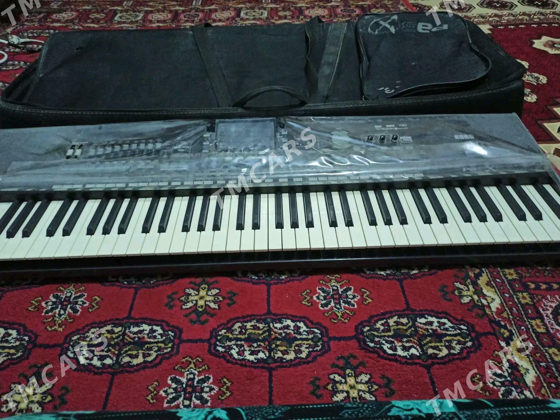 KORG PA 3 TAZE - Aşgabat - img 2