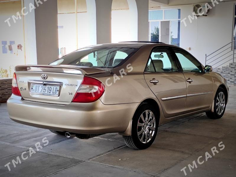 Toyota Camry 2003 - 130 000 TMT - Türkmenabat - img 6