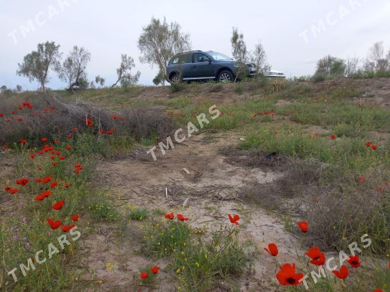 Volkswagen Touareg 2005 - 140 000 TMT - Türkmenabat - img 5