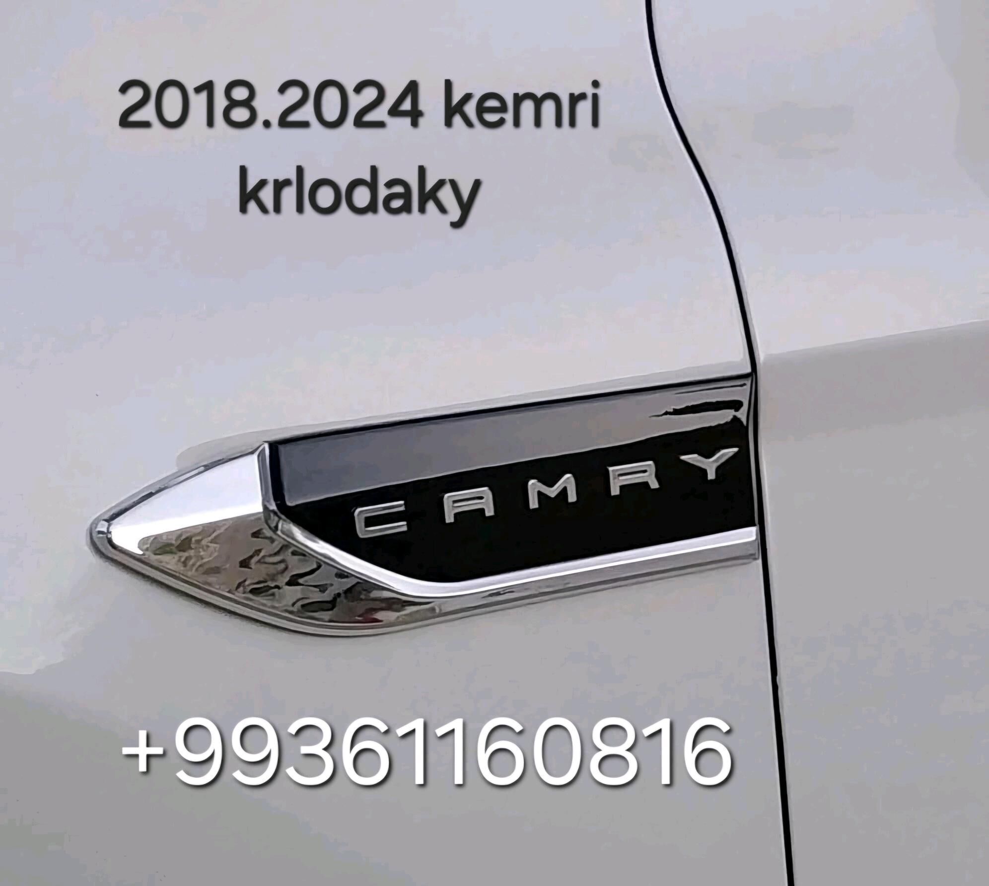 2018.2024 KEMRI BEZEGLERI VIP. - Ашхабад - img 6