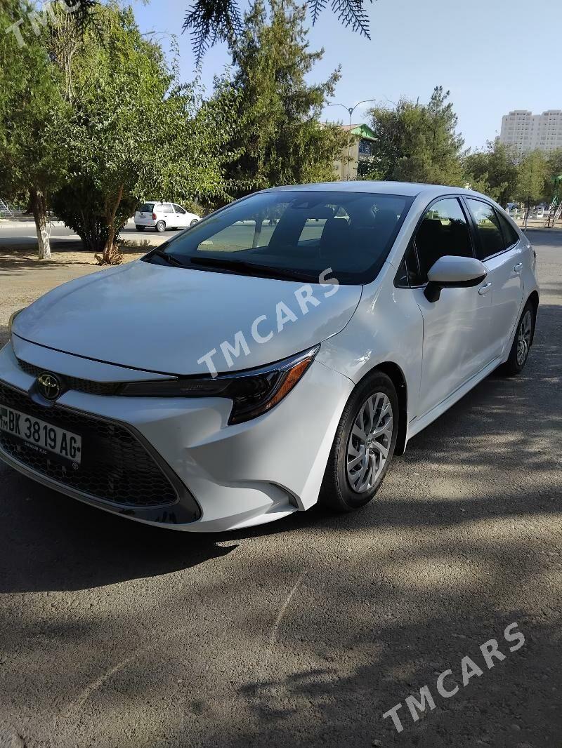 Toyota Corolla 2019 - 220 000 TMT - Aşgabat - img 3